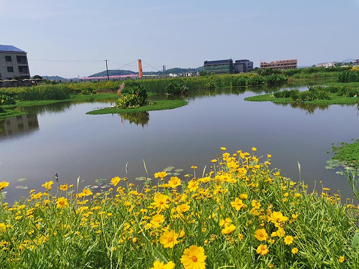 衡阳县蒸水流域山水林田湖草生态保护香蕉污视频免费在线观看工程试点项目