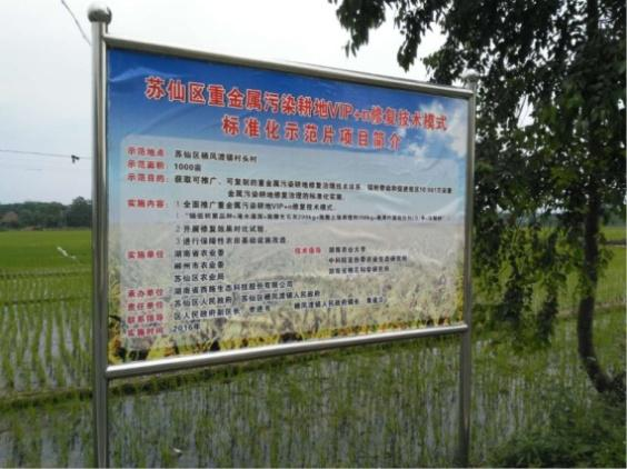 湖南省郴州市苏仙区千亩农田镉污染香蕉污视频免费在线观看项目