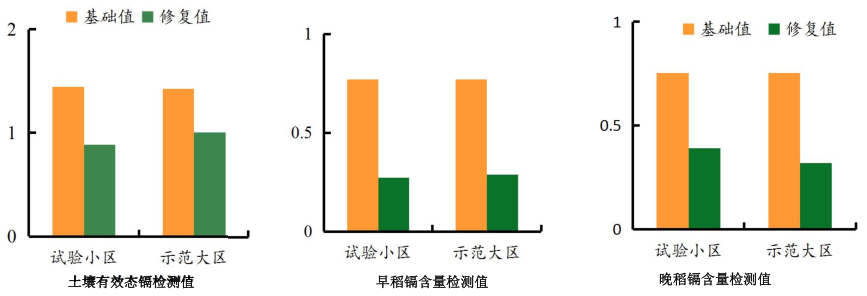 湖南省郴州市苏仙区千亩农田镉污染香蕉污视频免费在线观看项目