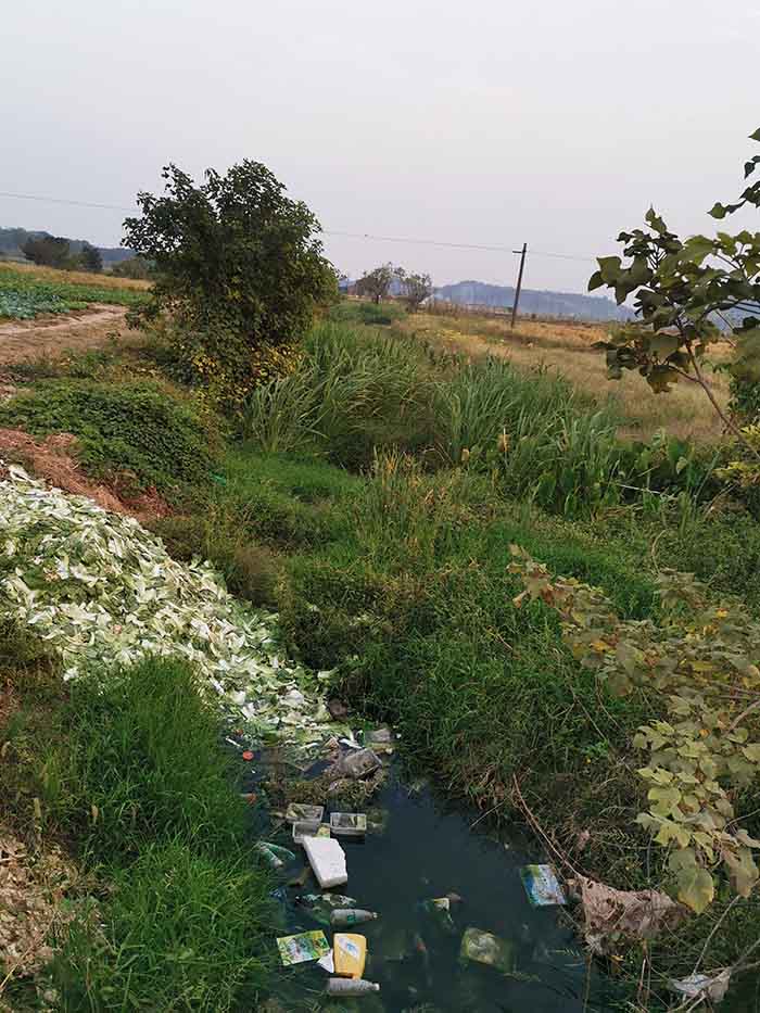 衡阳县蒸水流域山水林田湖草生态保护香蕉污视频免费在线观看工程试点项目