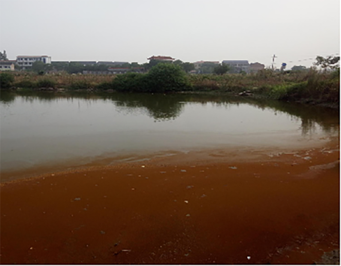 衡阳县蒸水流域山水林田湖草生态保护香蕉污视频免费在线观看工程试点项目